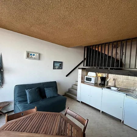 Aiguillon - Duplex T1 A Deux Pas De La - Fr-1-319-71 * Arcachon