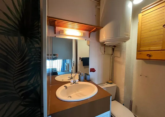 Aiguillon - Duplex T1 A Deux Pas De La - Fr-1-319-71 *