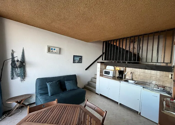 Aiguillon - Duplex T1 A Deux Pas De La - Fr-1-319-71 * Arcachon